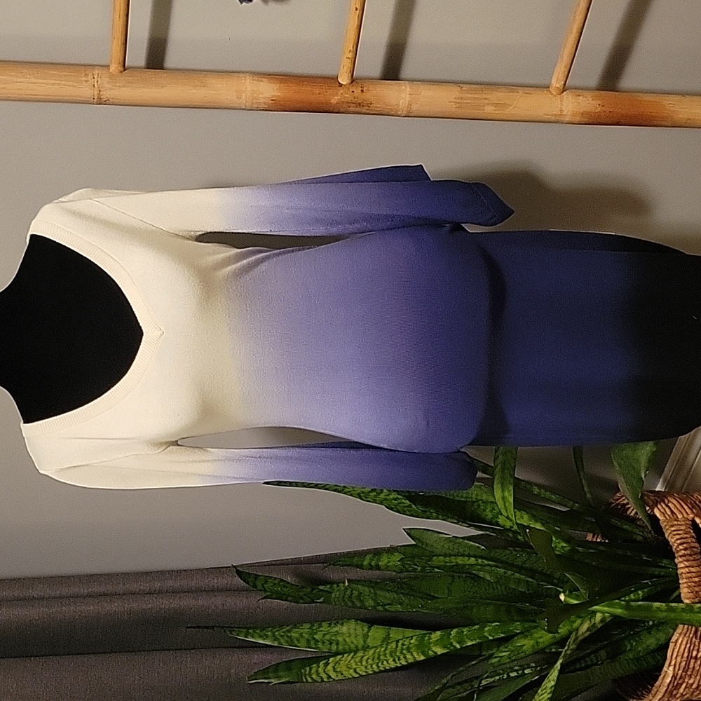 Rebecca Minkoff Ombre Knit Dress
